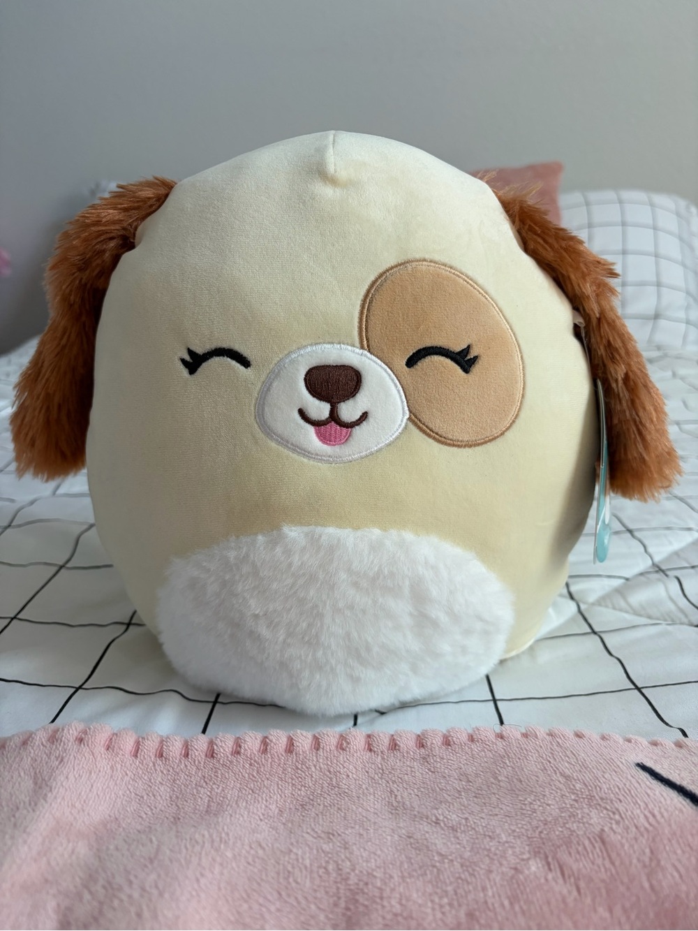 Squishmallows Cream and Brown Harrison the dog 11”